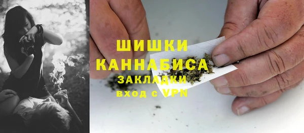 прущие грибы Балабаново