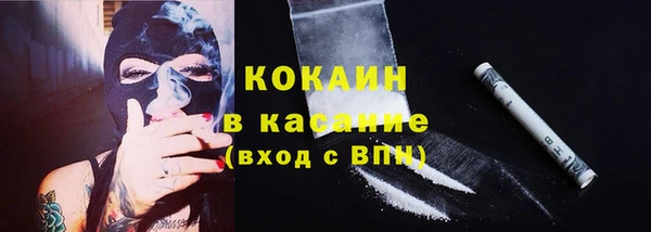 прущие грибы Балабаново