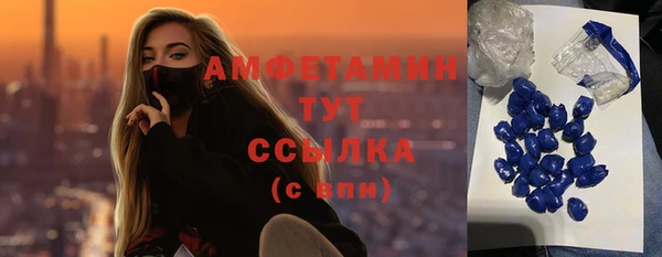 прущие грибы Балабаново