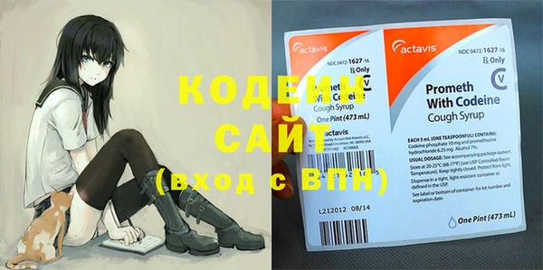 прущие грибы Балабаново