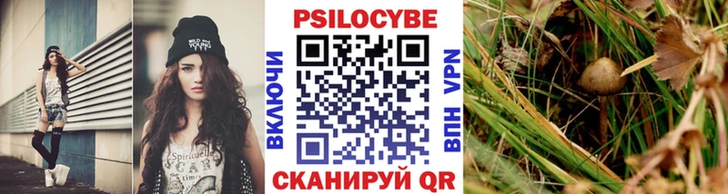 хочу наркоту  Яблоновский  Галлюциногенные грибы Psilocybine cubensis 